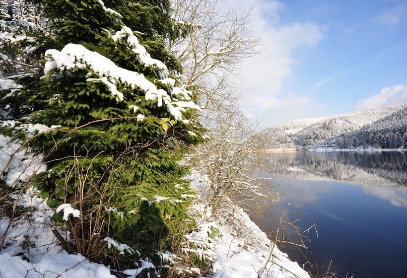 فندق & Hostel Drei Baren