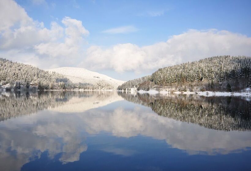 فندق & Hostel Drei Baren