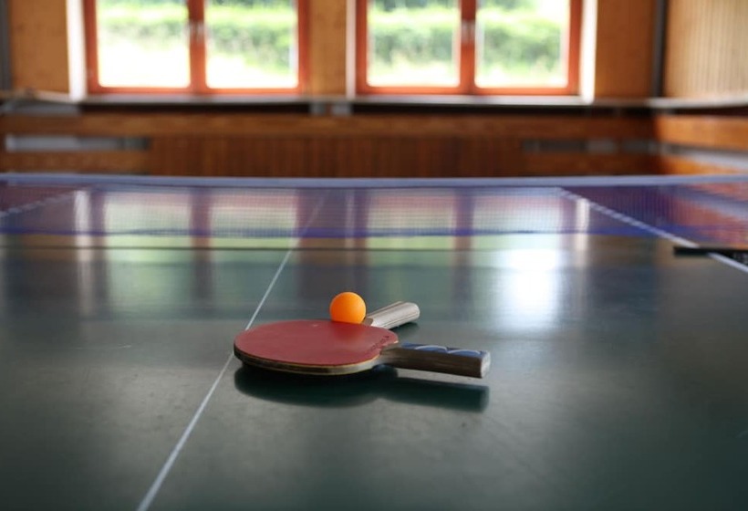 فندق & Hostel Drei Baren