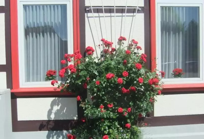 בית מלון כפרי Kniep