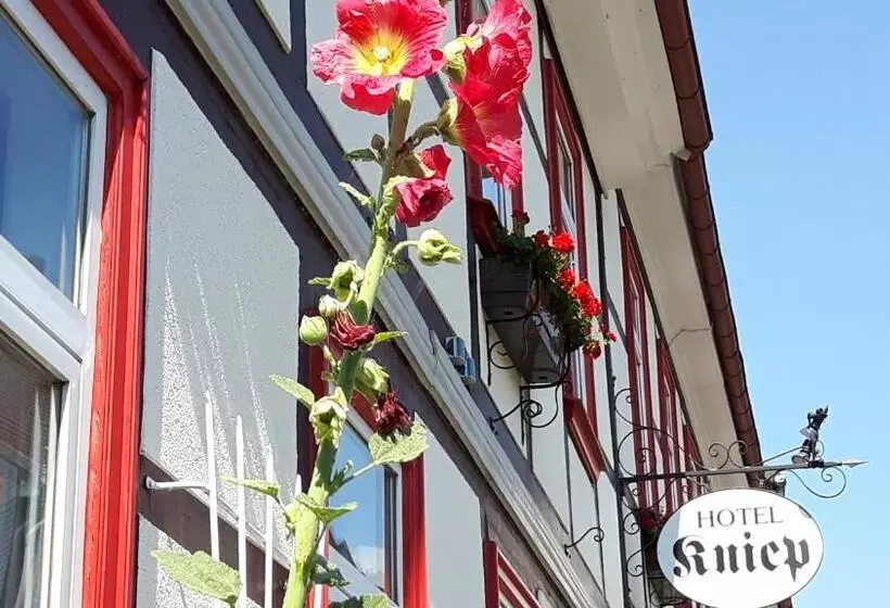 בית מלון כפרי Kniep