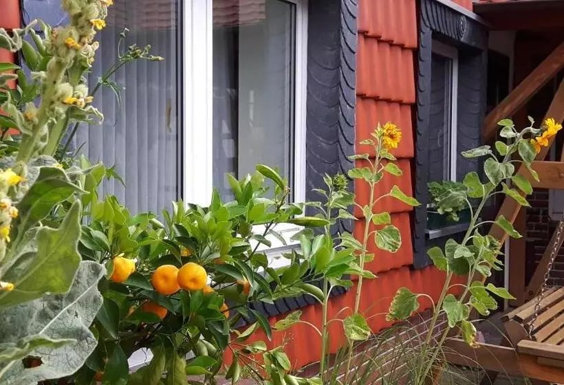 בית מלון כפרי Kniep