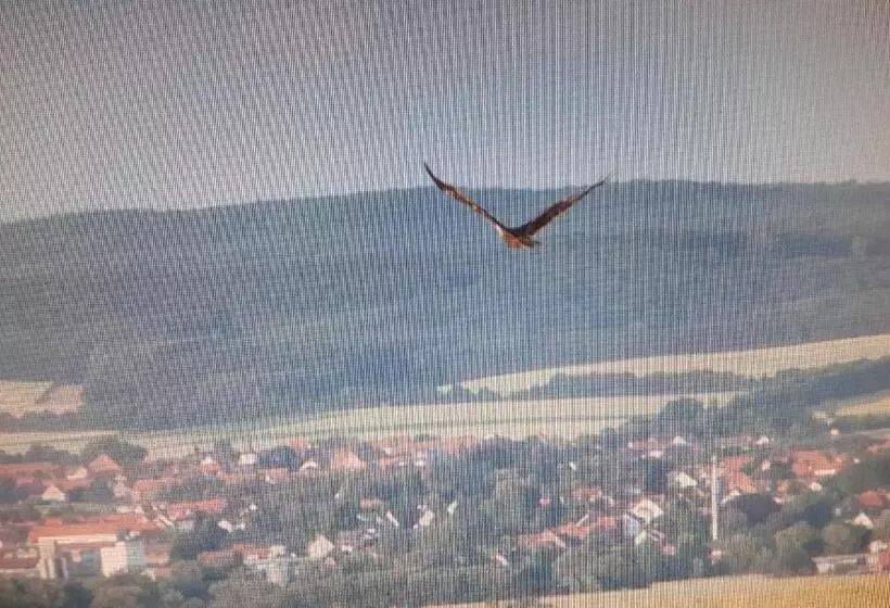 בית מלון כפרי Kniep