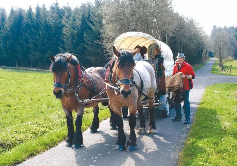 בית מלון כפרי Landgasthof Lang Zum Adler