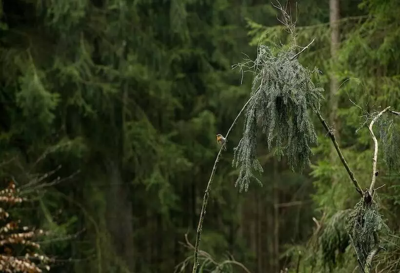 בית מלון כפרי Panorama