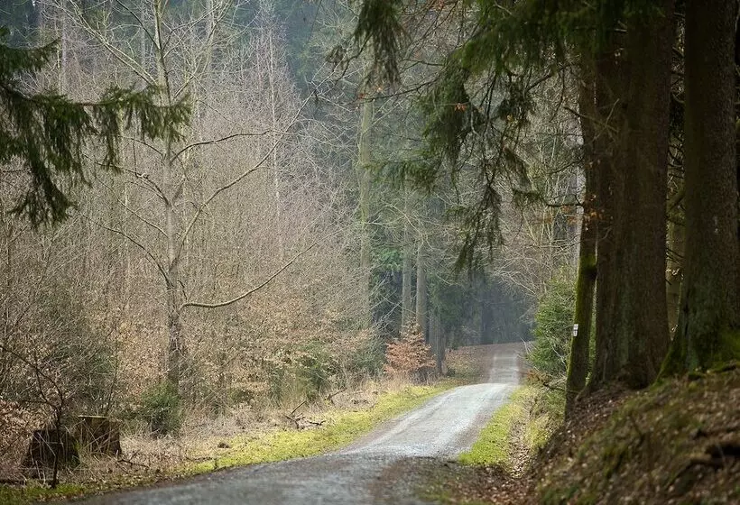בית מלון כפרי Panorama