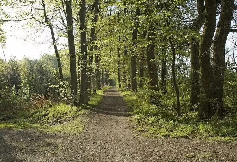 בית מלון כפרי Panorama