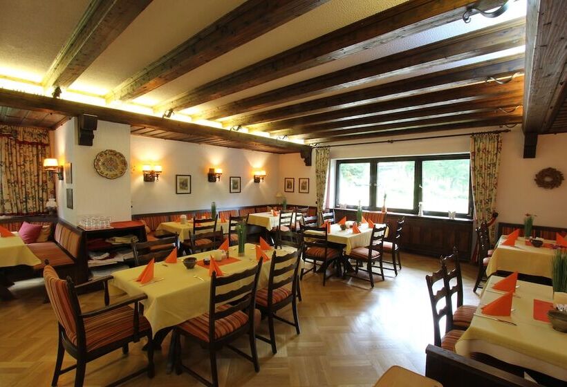 Hotelli Schwarzwald Schäfer