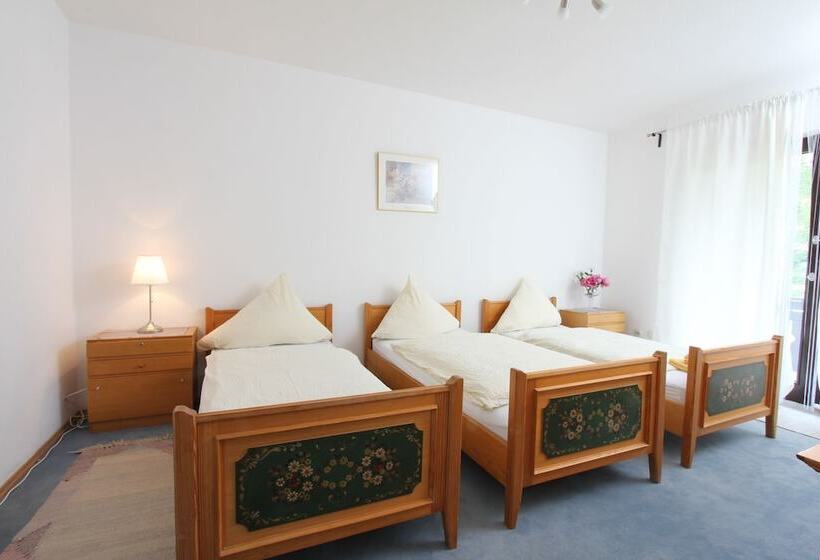 Hotelli Schwarzwald Schäfer