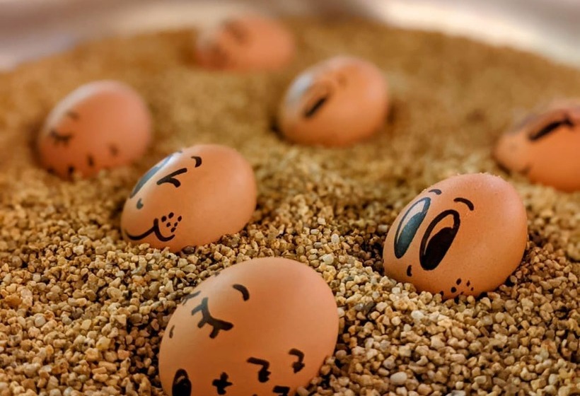 Пансион Brauerei Gasthof Höhn