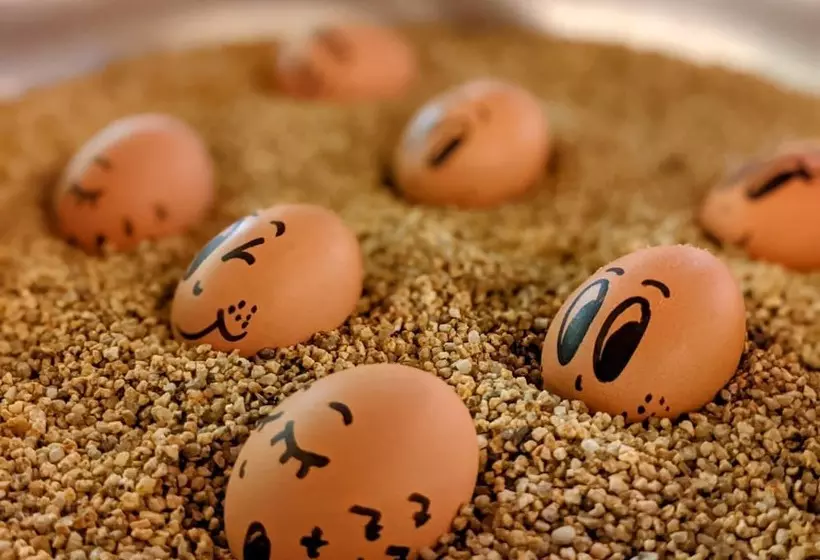 Panzió Brauerei Gasthof Höhn