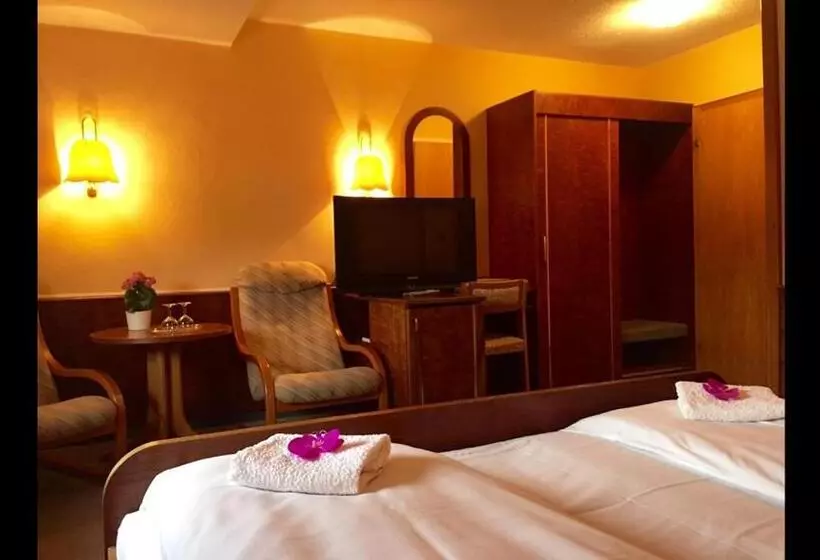 ペンション Zum Erbacher Hof