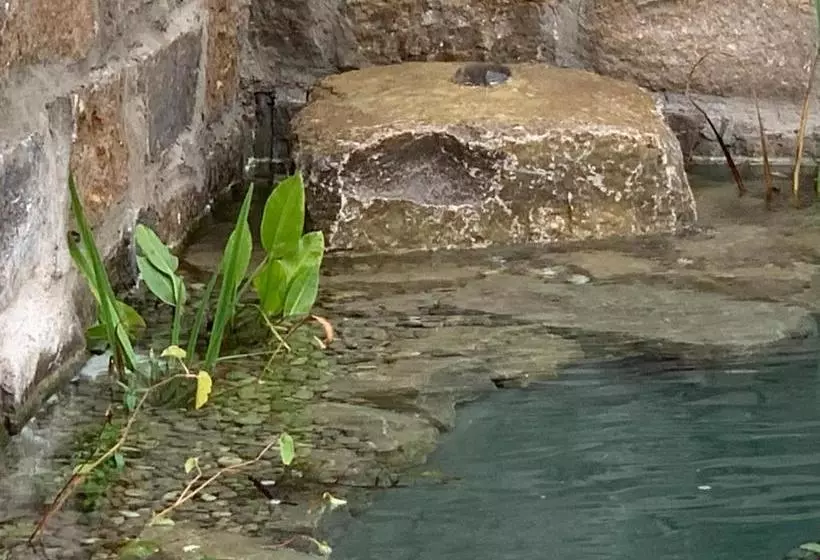 Aamiaismajoitus (B&B) Park Villa Gernsheim