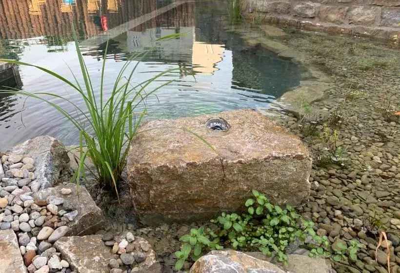 Aamiaismajoitus (B&B) Park Villa Gernsheim