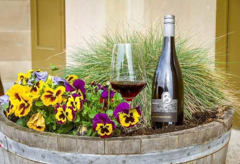 酒店 Bahnhof Busch