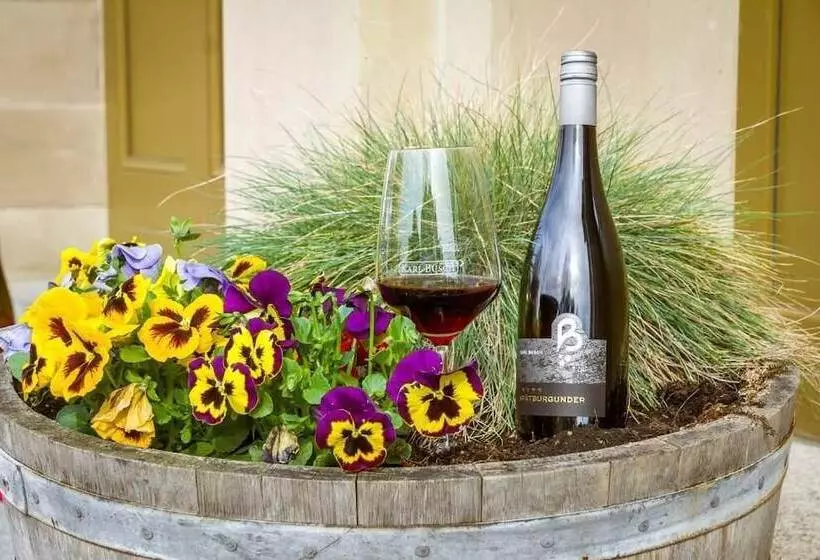 酒店 Bahnhof Busch