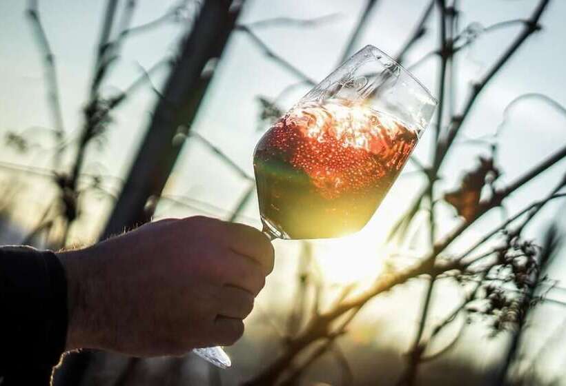 酒店 Bahnhof Busch