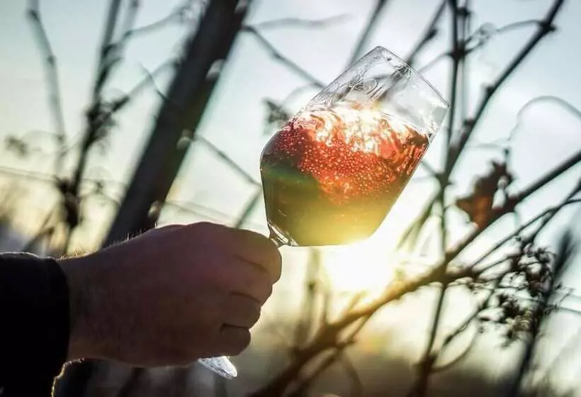 酒店 Bahnhof Busch