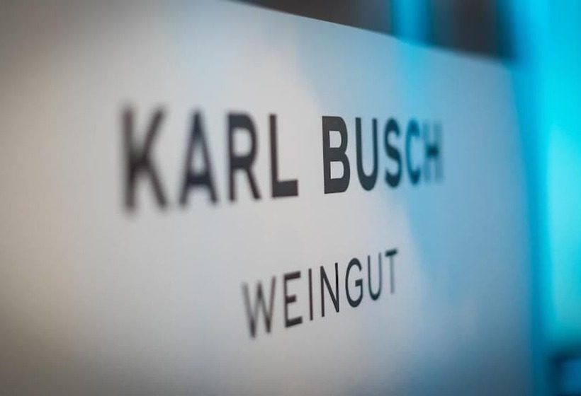 酒店 Bahnhof Busch