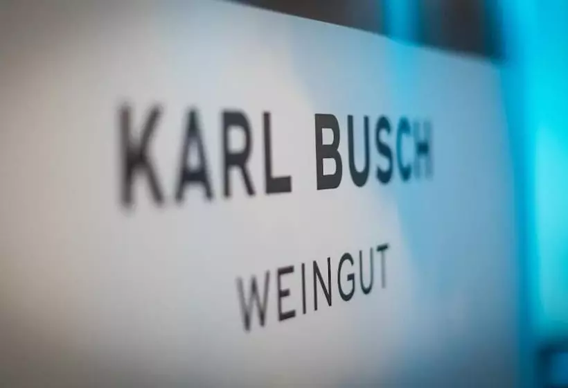 酒店 Bahnhof Busch