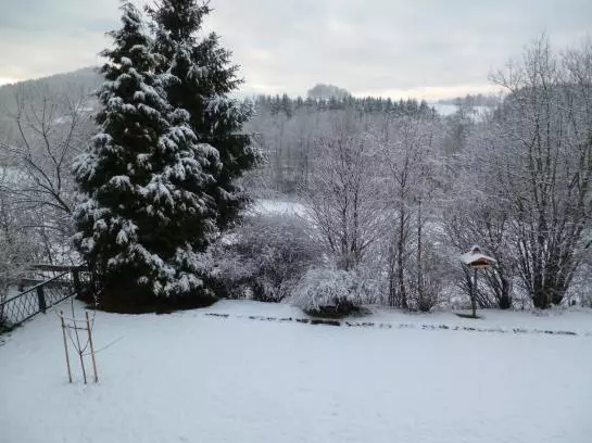 住宿加早餐  Haus Hochstein Pension