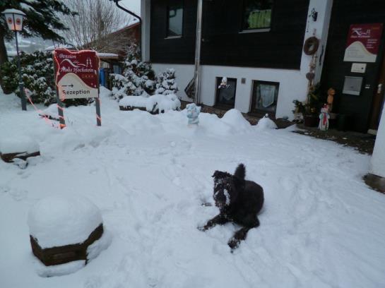 Bed and Breakfast Haus Hochstein Pension
