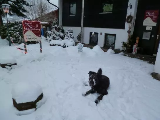 住宿加早餐  Haus Hochstein Pension