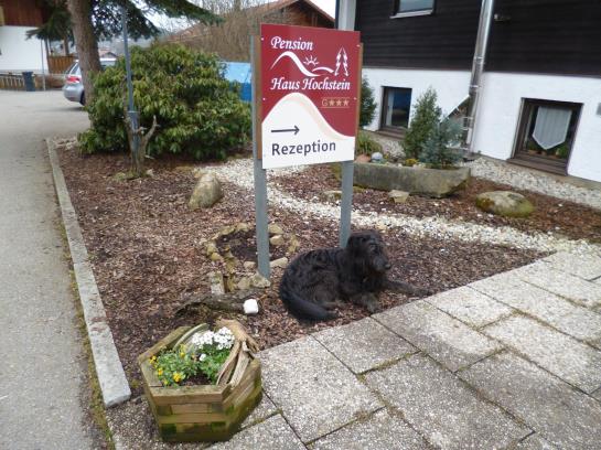 Bed and Breakfast Haus Hochstein Pension