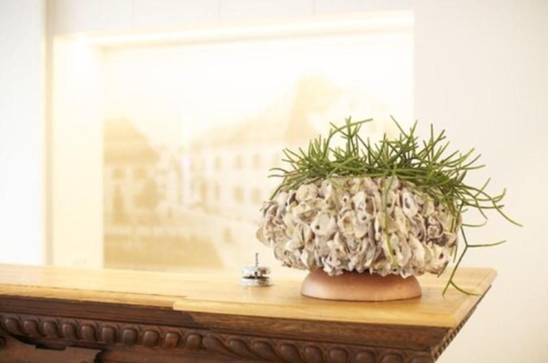 בית מלון כפרי Illertisser Hof