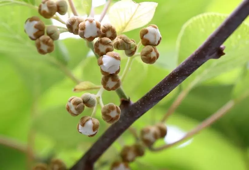 ペンション Gästehaus Im Rank