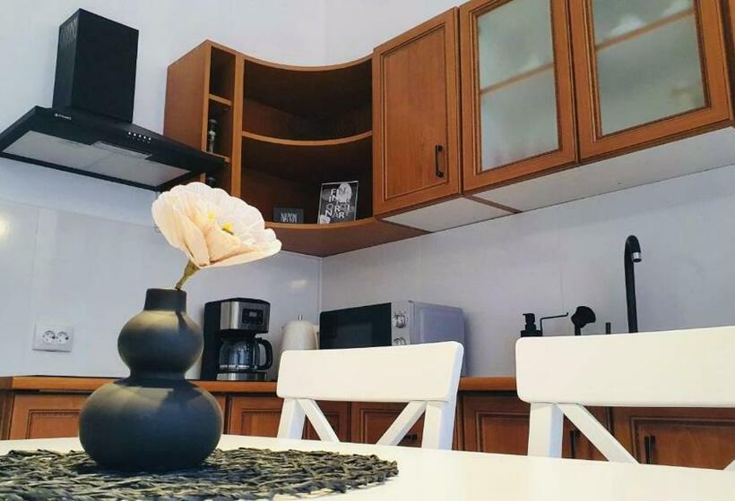 Comfort Apartment Barițiu Brașov
