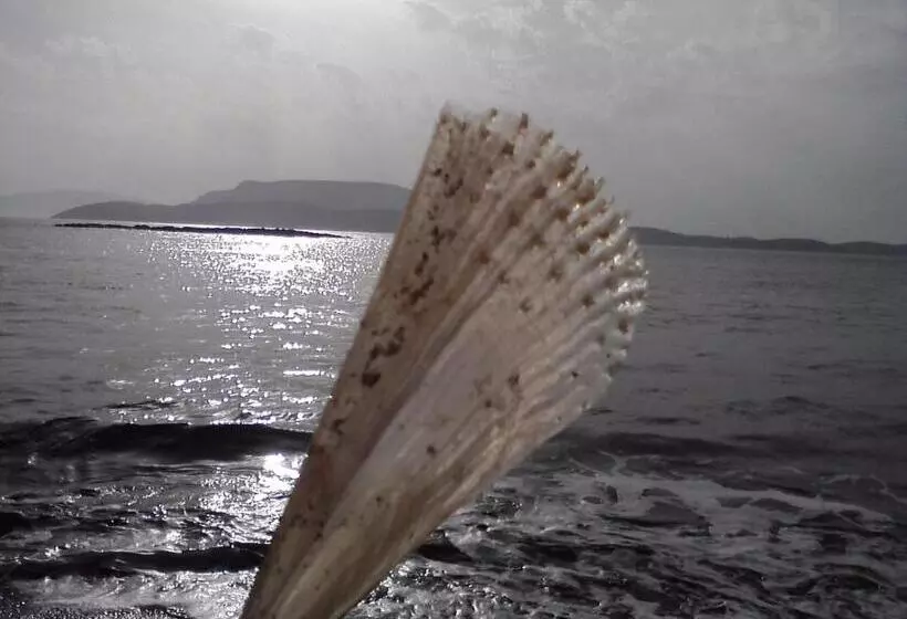 ホテル Filoxenia By Grispos Villas