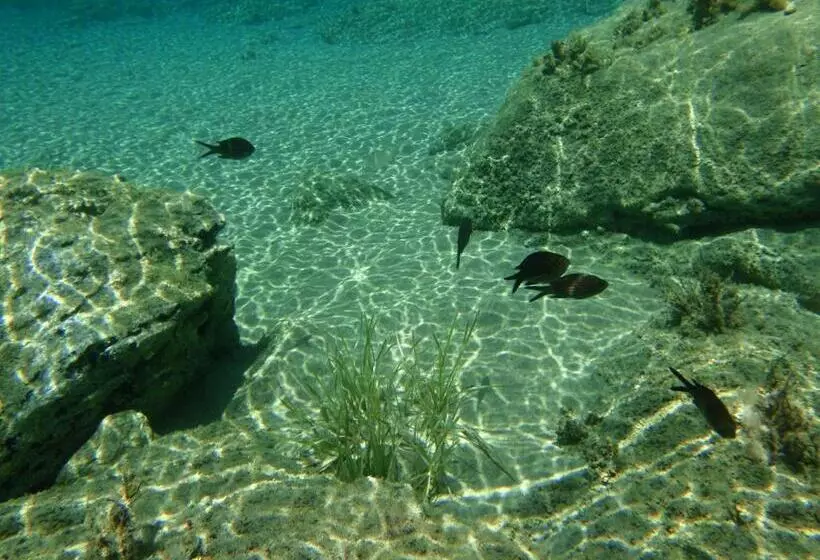 ホテル Filoxenia By Grispos Villas