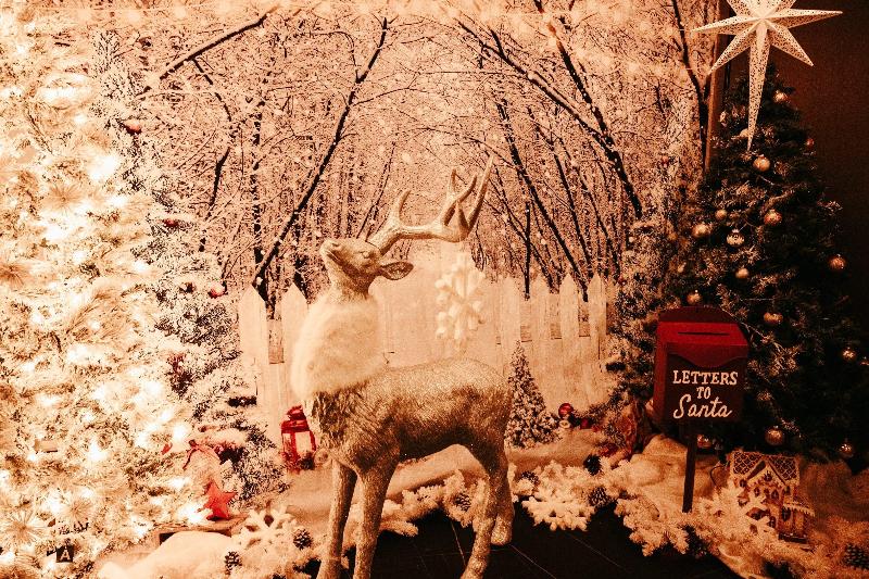 酒店 Indigo Nyc Downtown Wall Street, An Ihg