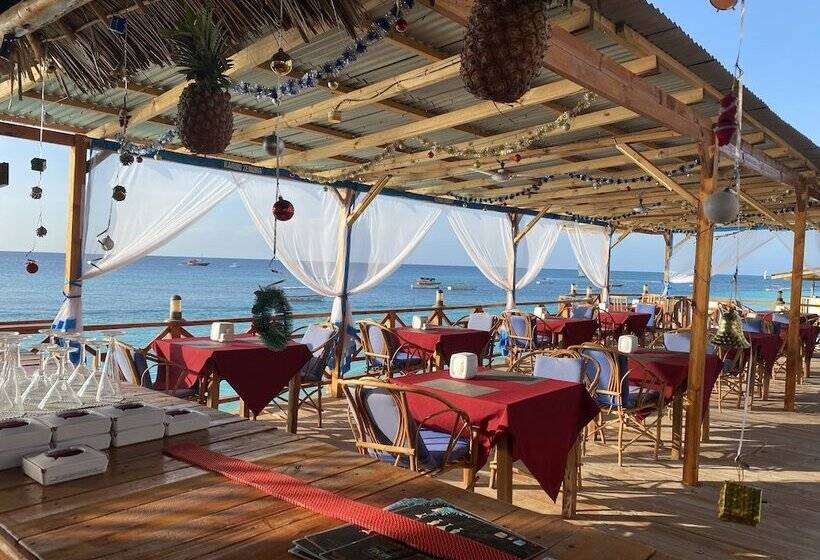 호텔 Zenobia Beach Resort