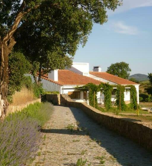 The Olive Press   Alentejo