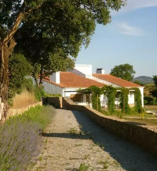 The Olive Press   Alentejo