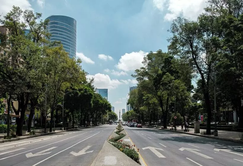 Nido Roma Norte