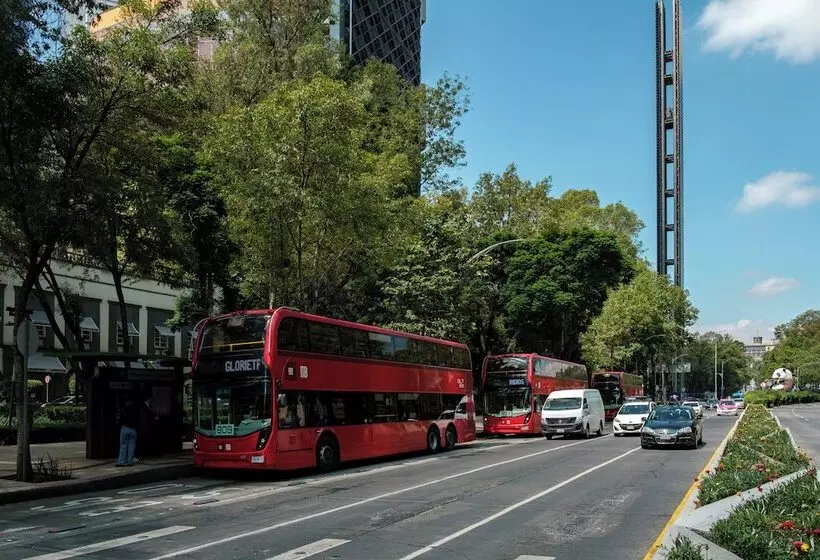 Nido Roma Norte