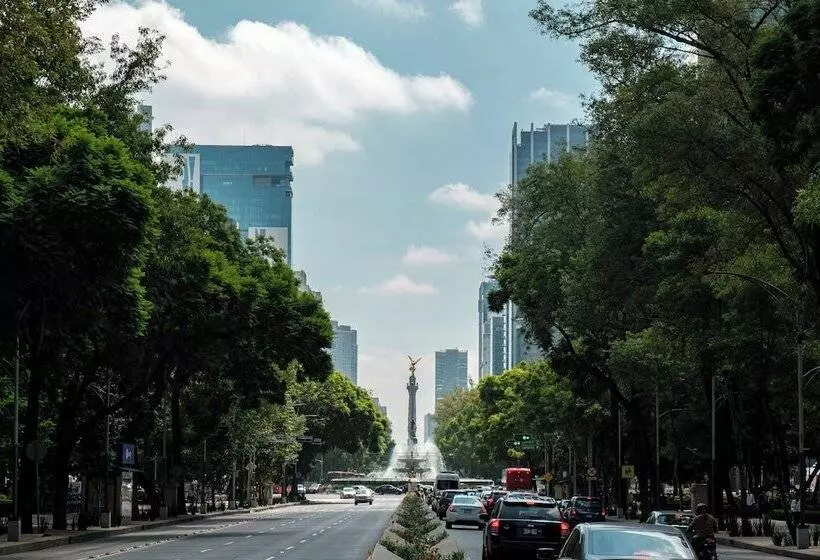 Nido Roma Norte