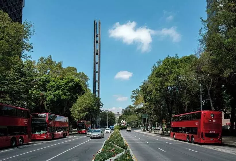 Nido Roma Norte