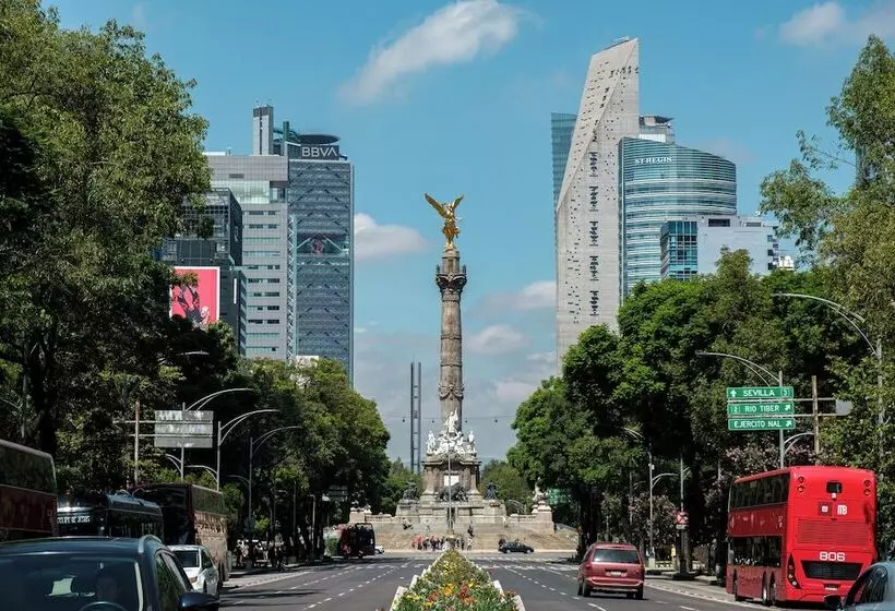 Nido Roma Norte