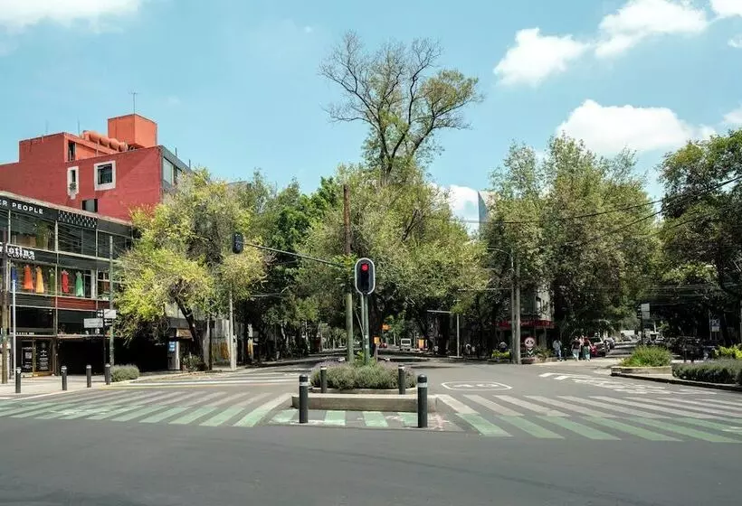 Nido Roma Norte