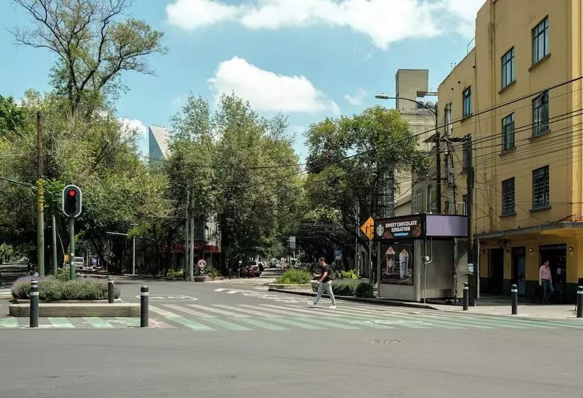 Nido Roma Norte
