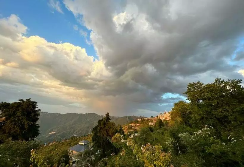 Hotelli Wincliff Orchard Resort