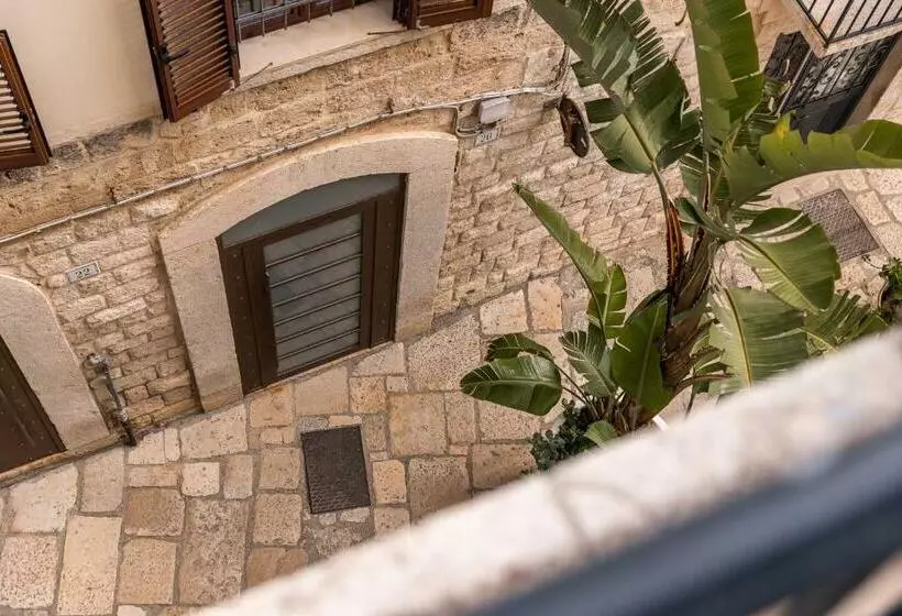 پانسیون Camera Top