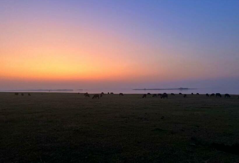 Appartamento Gelsomino