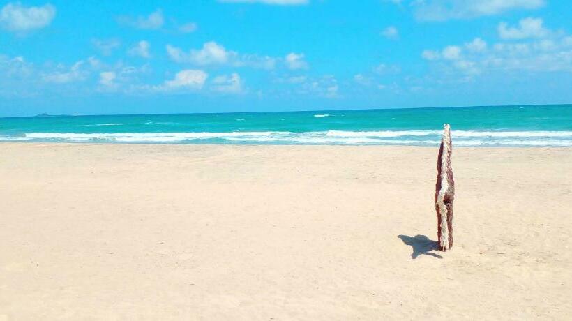 צימר White Rock Beach