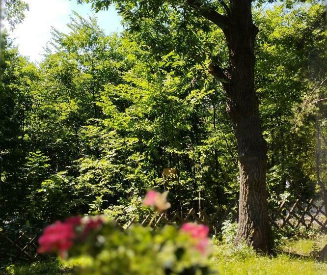 Csendes Pihenés Az Erdő Mellett   Madárfüttyös Vendégház