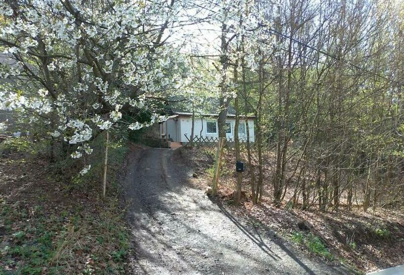 Csendes Pihenés Az Erdő Mellett   Madárfüttyös Vendégház